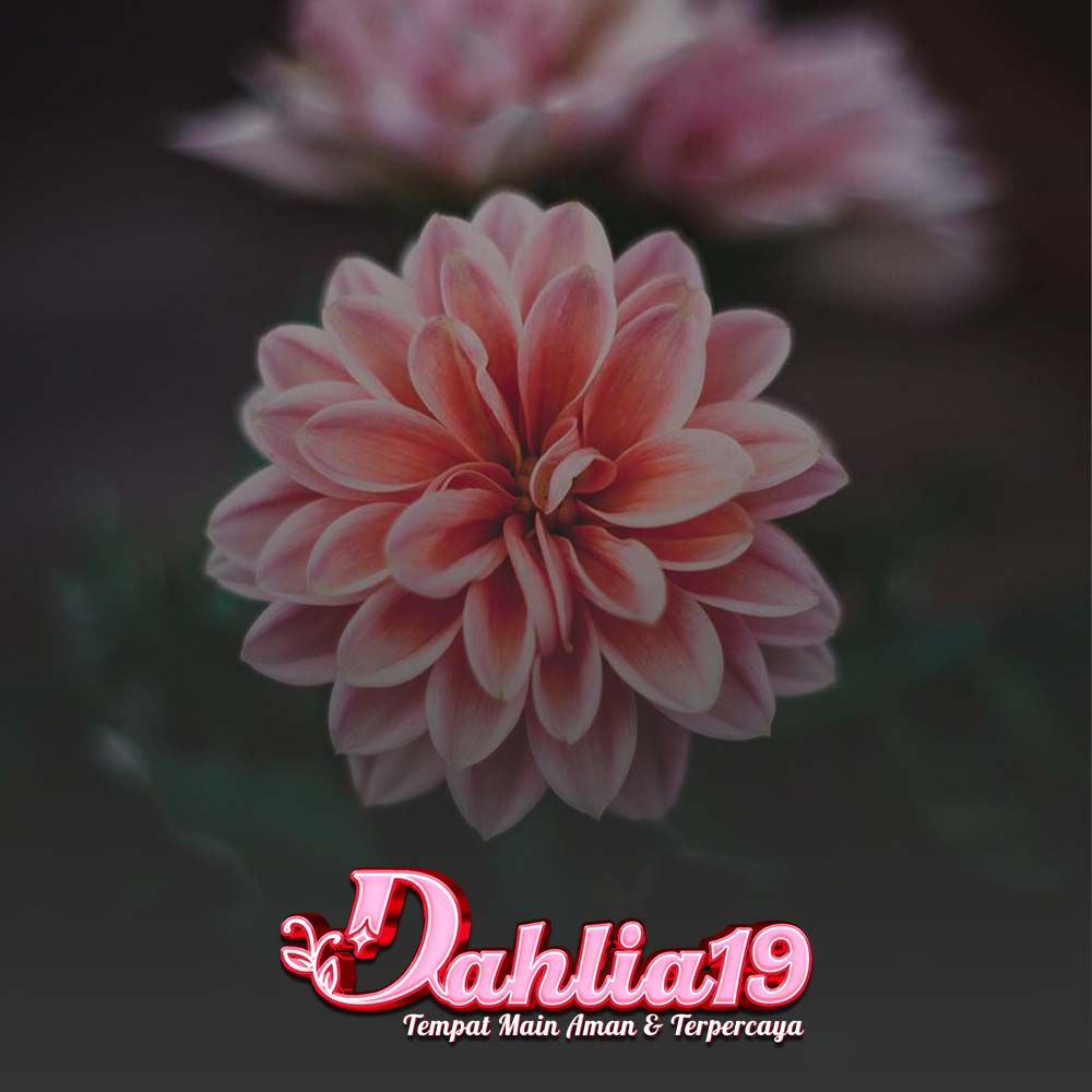 DAHLIA19 > Rasakan VIP Diamonds Bikin Main Makin Level Up - WooCommerce eCommerce